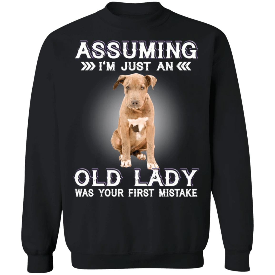 Assuming I'm Just An Old Lady - Pit Bull Sweatshirt With Quotes Funny Gag Gifts For Womens
