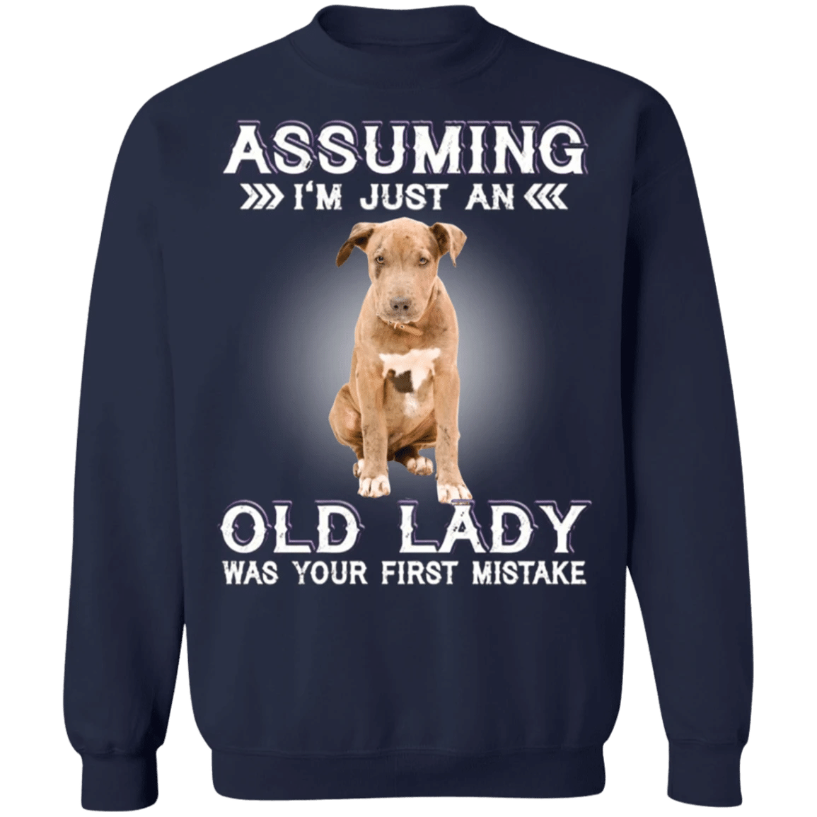 Assuming I'm Just An Old Lady - Pit Bull Sweatshirt With Quotes Funny Gag Gifts For Womens