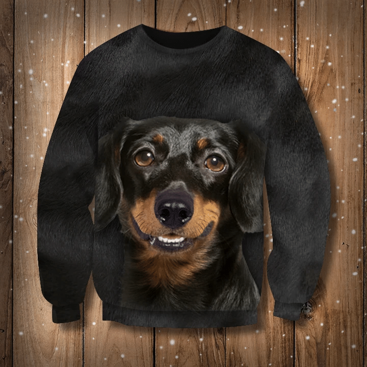 Dachshund Sweatshirt Dog Sweatshirt For Men Women Dachshund Lovers Christmas Gift Idea 2020