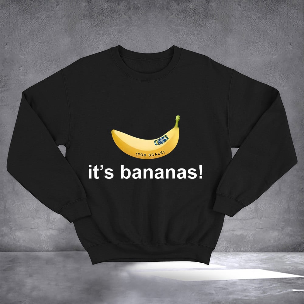 SpaceX Starship Flight 6 It's Banana Sweatshirt Elon Musk Inspired Sweatshirt Men Women