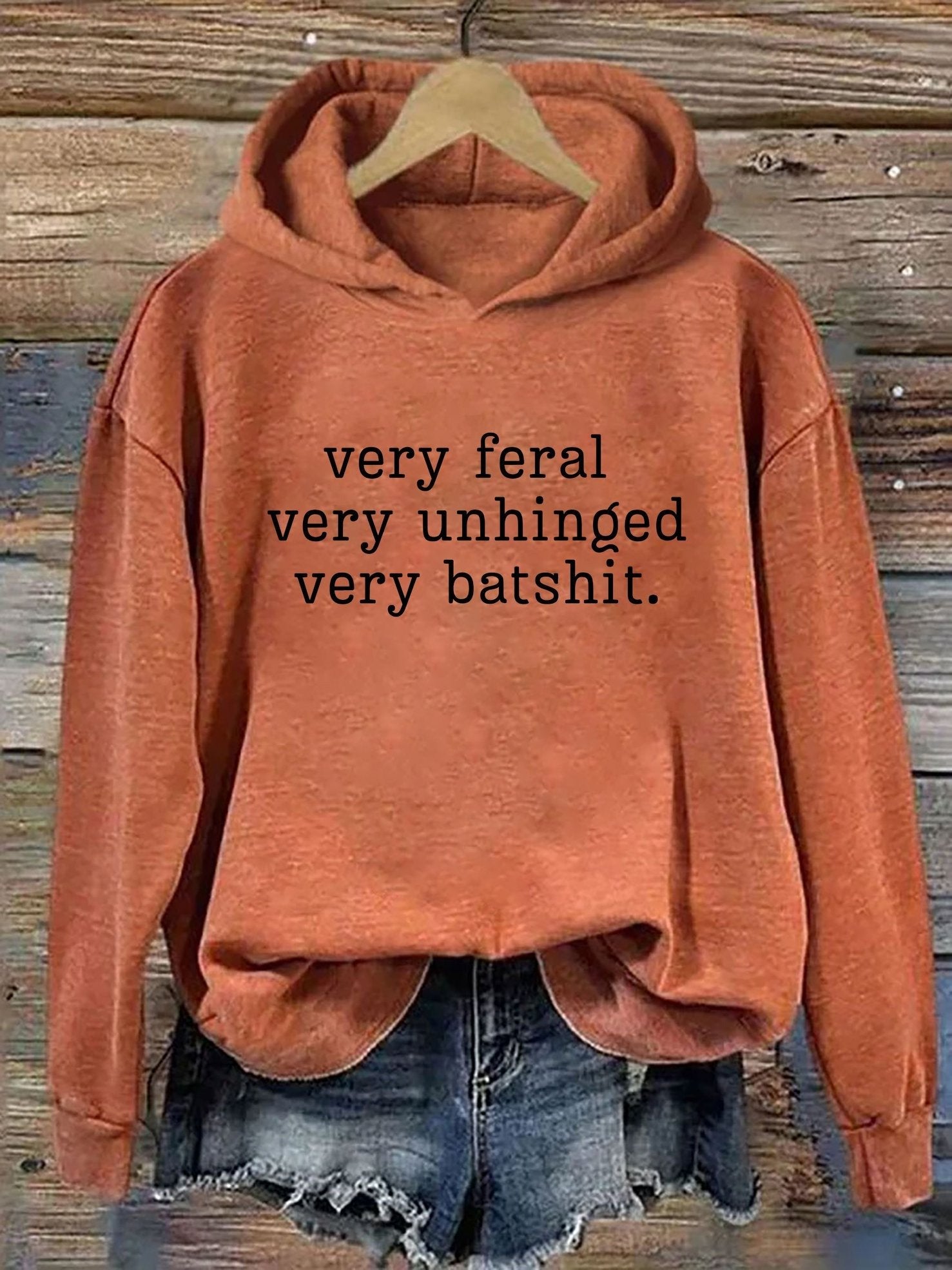 Very Feral Very Unhinged very batshit Hoodie Funny Sayings Hooded Sweatshirt Apparel