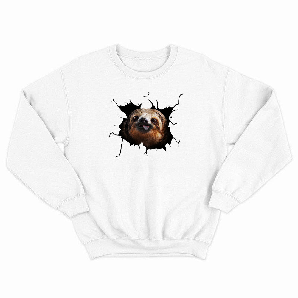 Sloth Came Out Shirt Sloth Sweatshirt Cute Graphic Unisex Gift For Brothers Idea