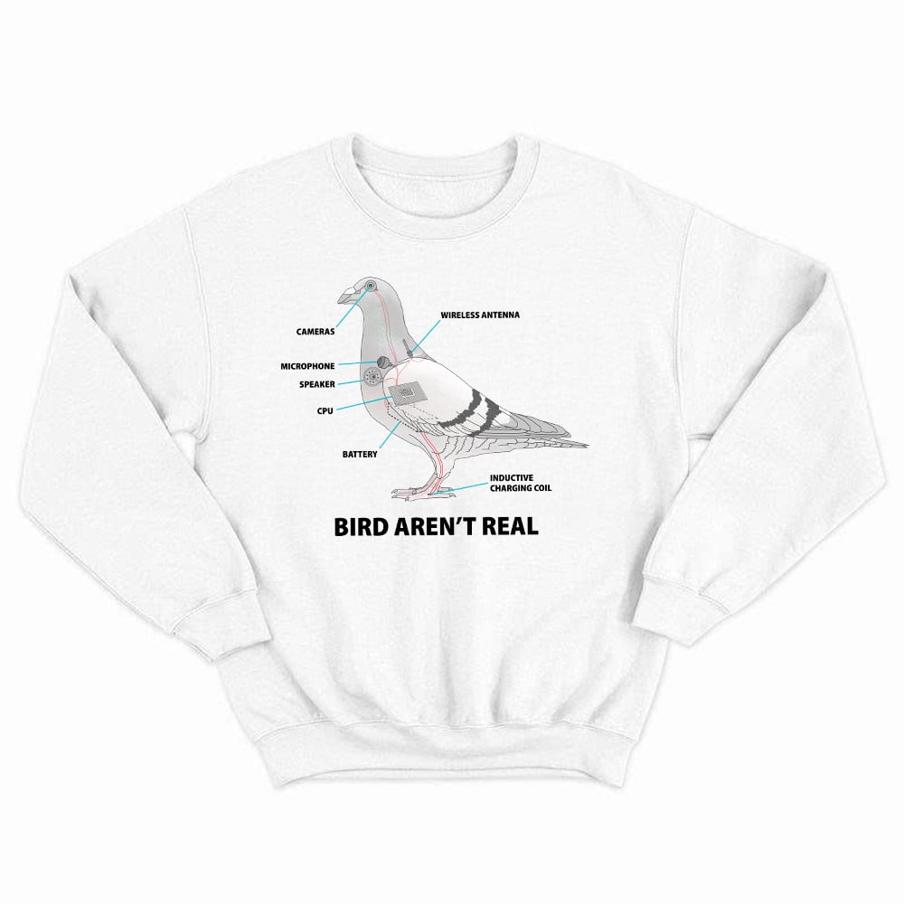 Bird Aren't Real Shirt Bird Watcher Vintage Tee Sweatshirt Gift For Him