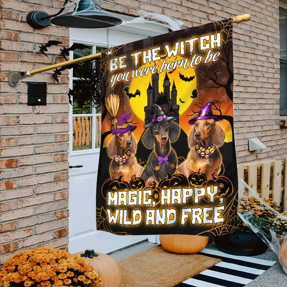 Dachshund Flag Be A Witch Halloween - Liberish