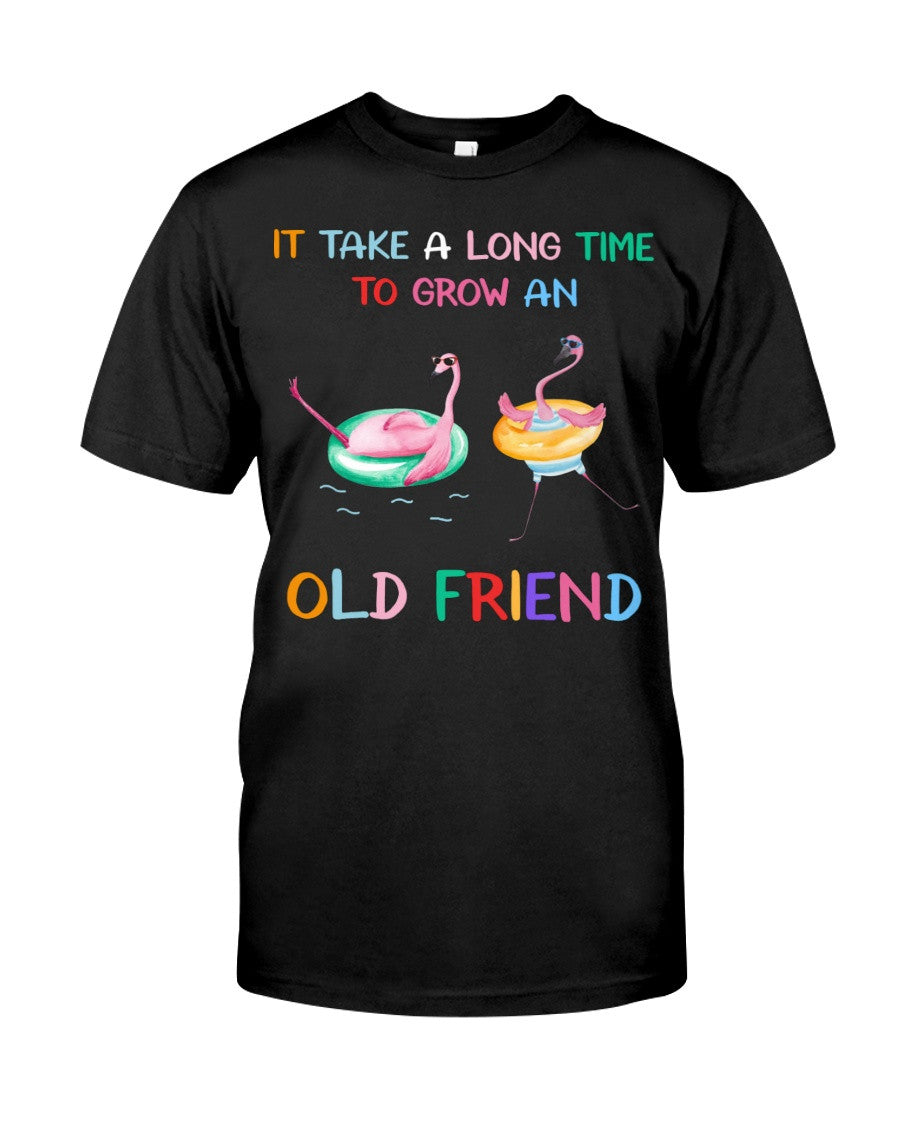 It Take A Long Time To Grow An OLD FRIEND Classic T-Shirt Gift For Best Friends - Liberish